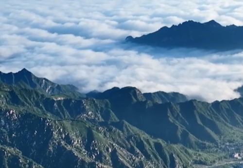 世界森林日｜穿行葱茏绿意 触摸河北大地生生不息的生命脉动