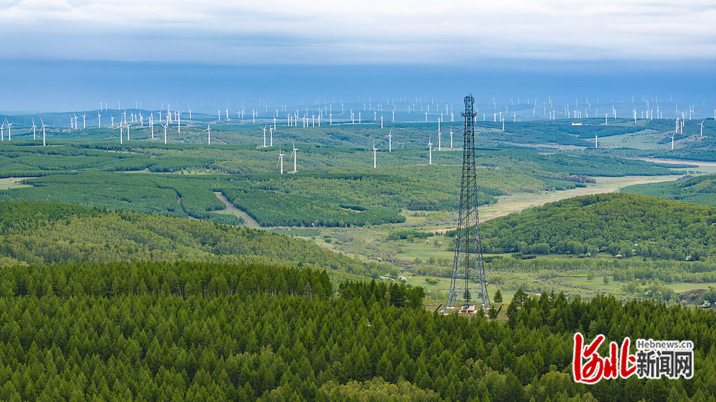 探析塞罕坝精神里的政绩观（三）｜从实际出发 按规律办事