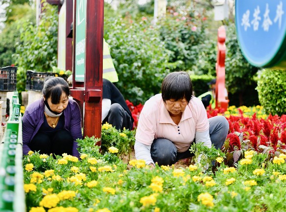 扮靓城市颜值 喜迎国庆佳节