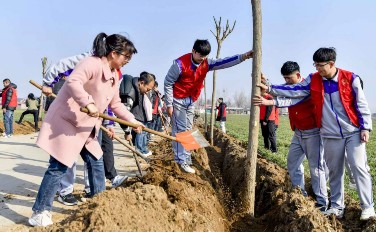 团市委组织志愿者开展植树活动