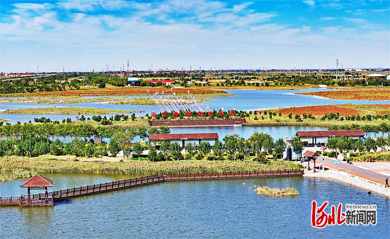 1729207703665070.jpg W020241017485618475836.jpg