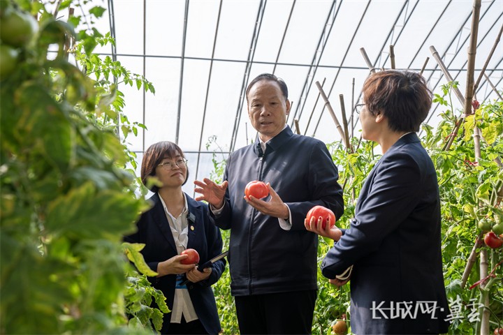 代表委员回岗位丨王连增：为民营企业发展注入“强心剂”