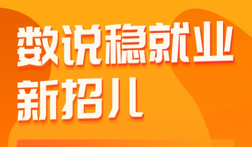 稳就业进行时丨长图·数说稳就业新招儿→