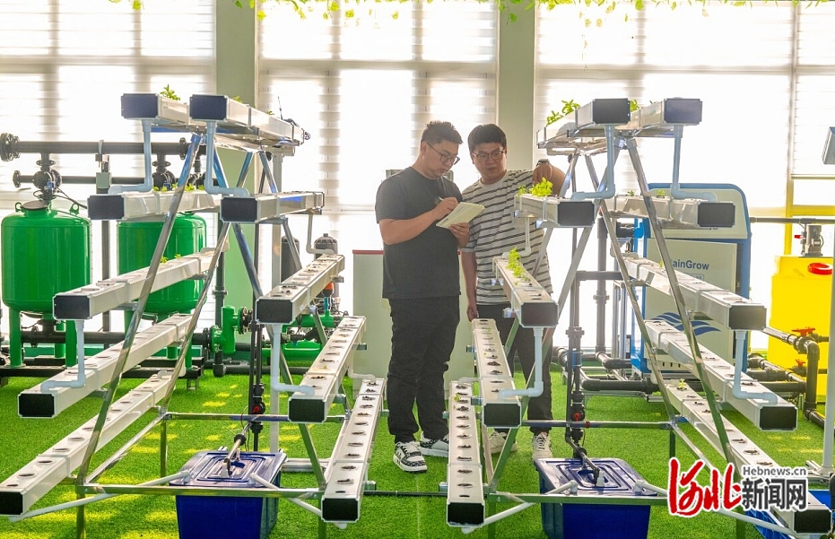 促进民营经济高质量发展·超能量的“中小微”｜把中国“新农具”卖到海外去
