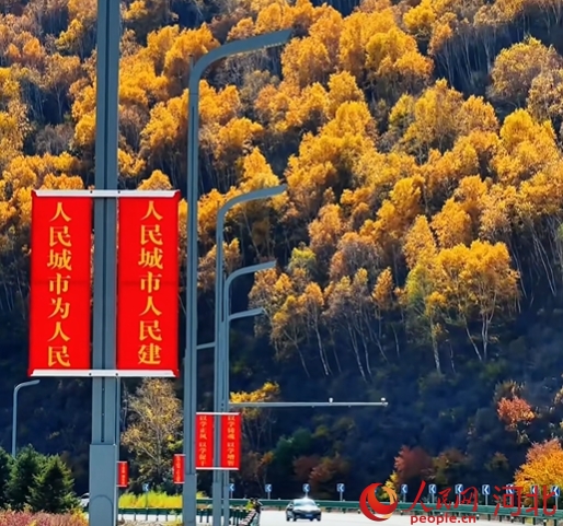 崇礼梧桐大道秋景。人民网记者 赵明妍摄