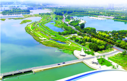 0647102809887181.png 1.png