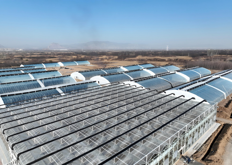 1768526764130331.png image.png