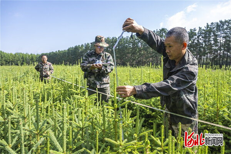 探析塞罕坝精神里的政绩观（四）｜​只有干出来的精彩，没有等出来的辉煌