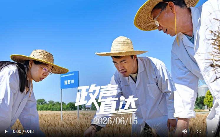 政声直达｜沧州全链条提升旱碱麦附加值