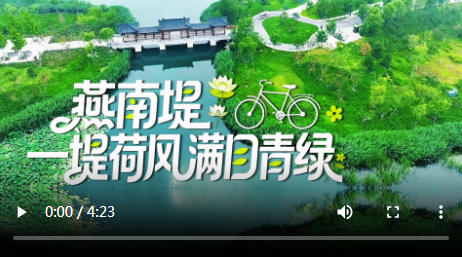 骑行看雄安丨燕南堤：一堤荷风 满目青绿