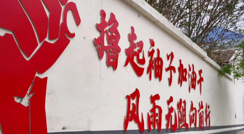 凝聚青年力量，在农文旅体融合发展示范区建设上持续发力