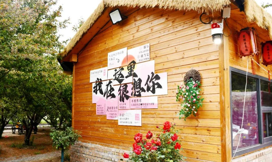 乡村行·看振兴 | 定州酉年萌宠农业发展中心玩出农旅融合“新花样”